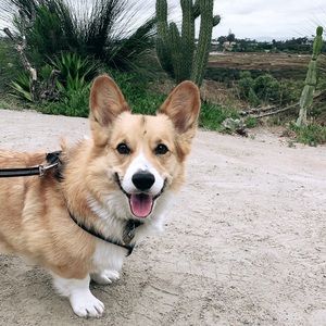 Meet your Posher, Noelle